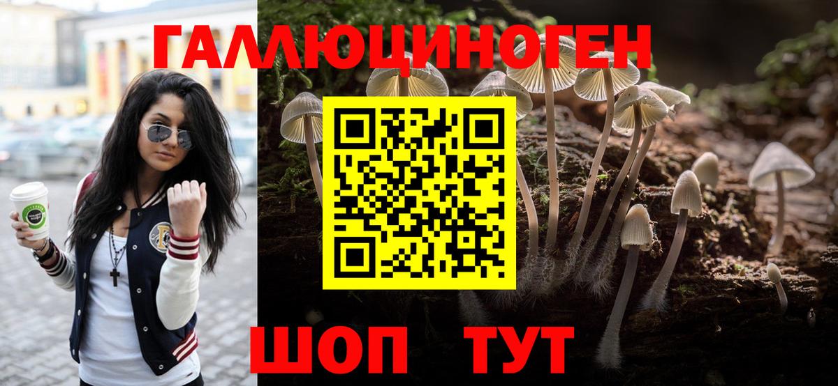Коломна  Псилоцибиновые грибы мицелий  Вход с VPN  Галлюциногенные грибы Psilocybe 